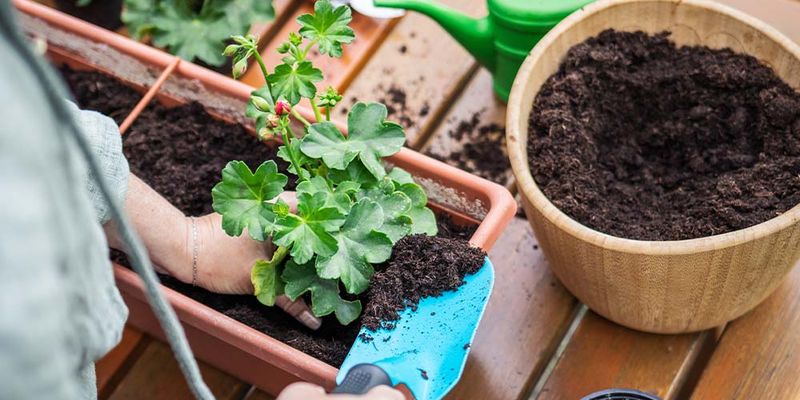 Planting in Heavy, Undraining Soil