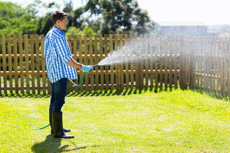Watering Too Frequently and Lightly