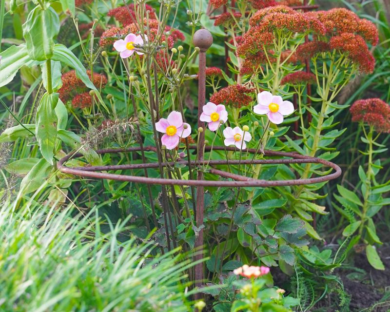 Stake Tall Varieties Early
