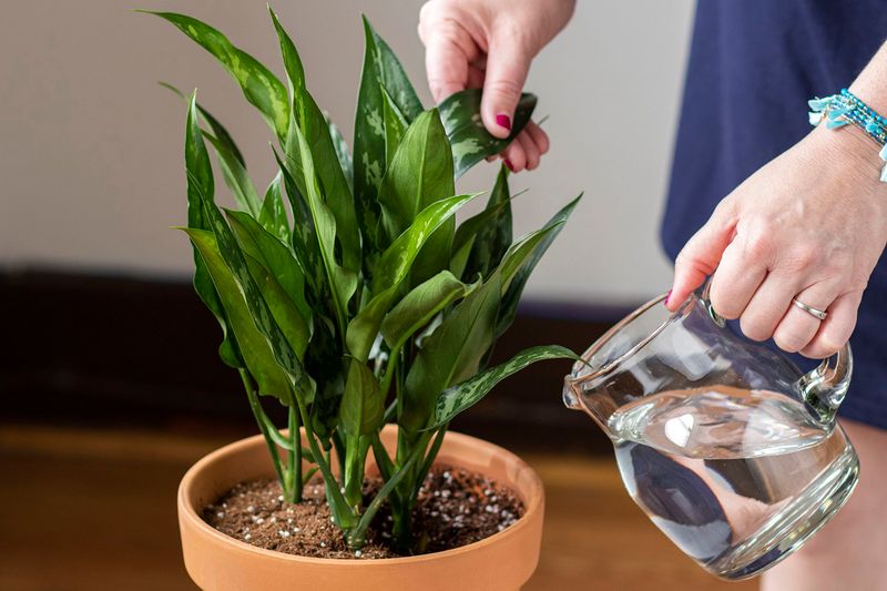 Choose water based on the suspected problem