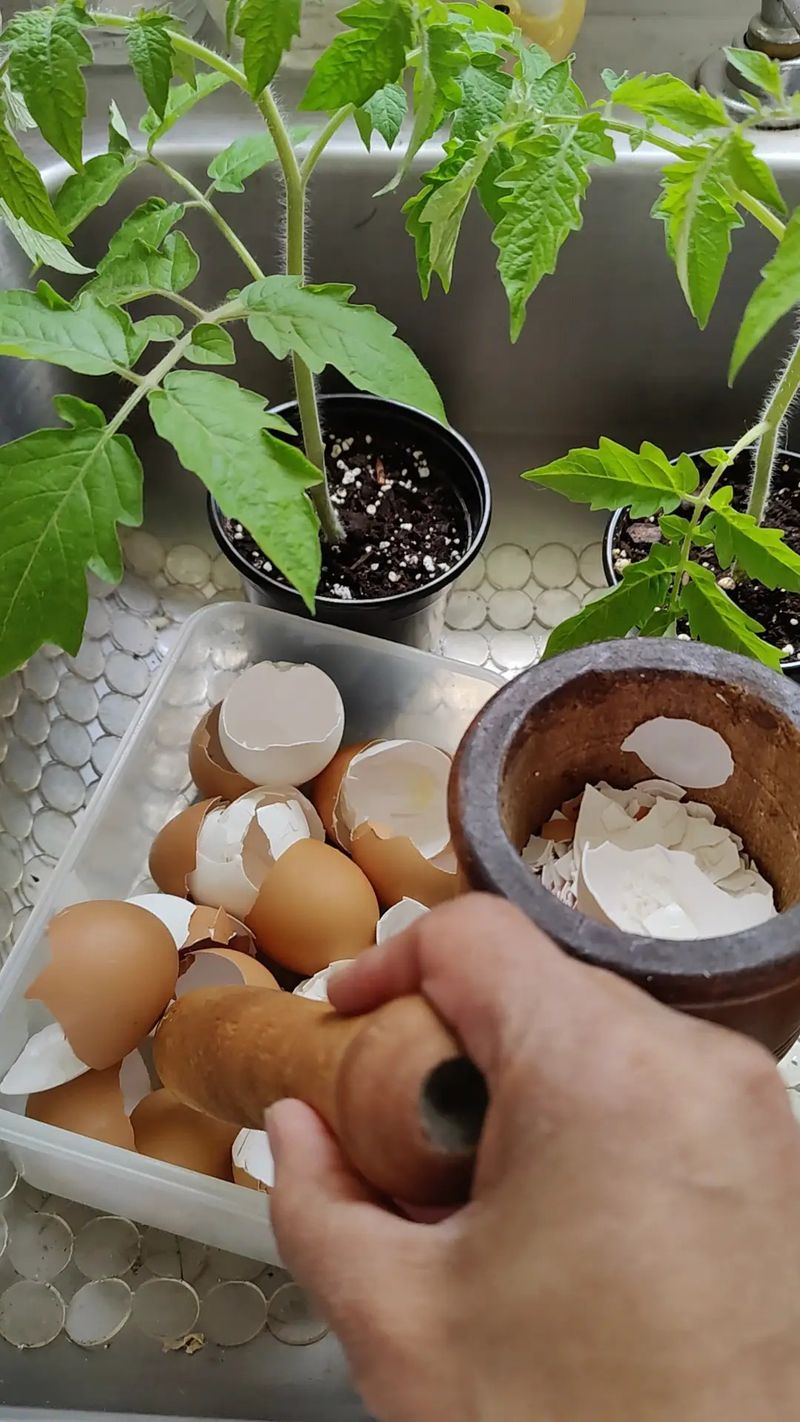 Crushed Eggshells for Calcium