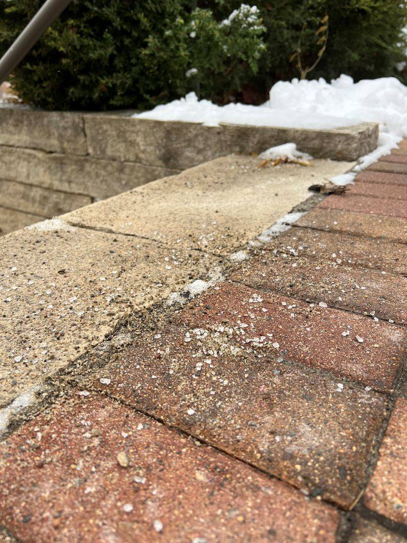 Spring Rescue for Salt-Stressed Lawns and Beds