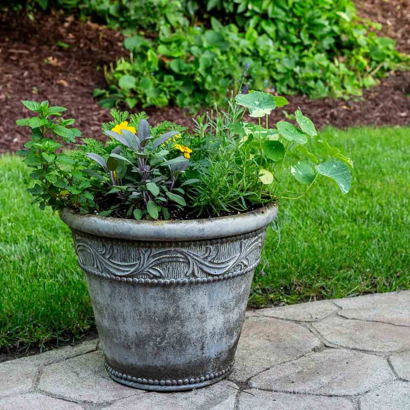 A Peppermint Pot Is Not a Proven Outdoor Mosquito Barrier