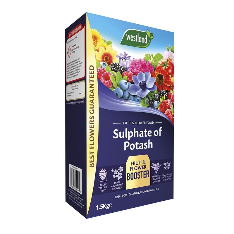 Apply Sulphate of Potash for Stubborn Non-Bloomers