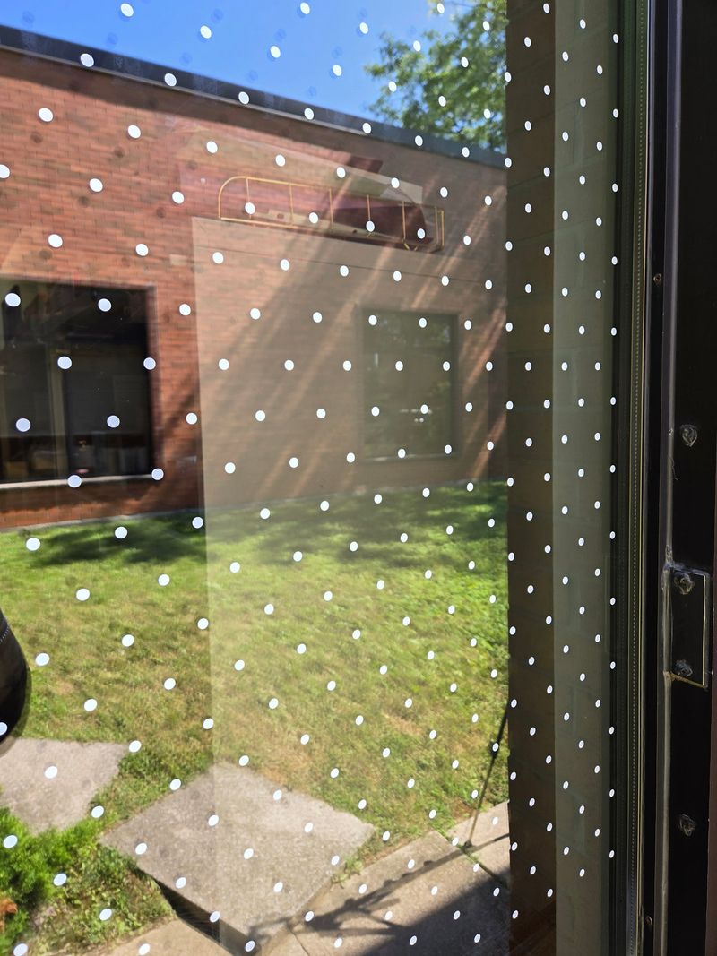 Windows can turn a normal chase into a preventable injury