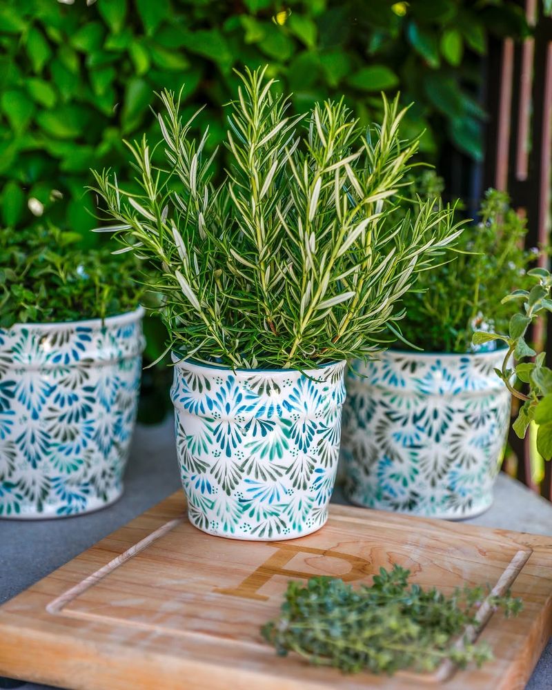 Rosemary