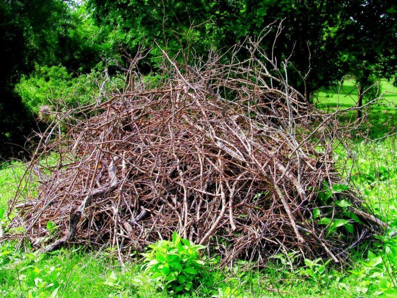 Brush Piles