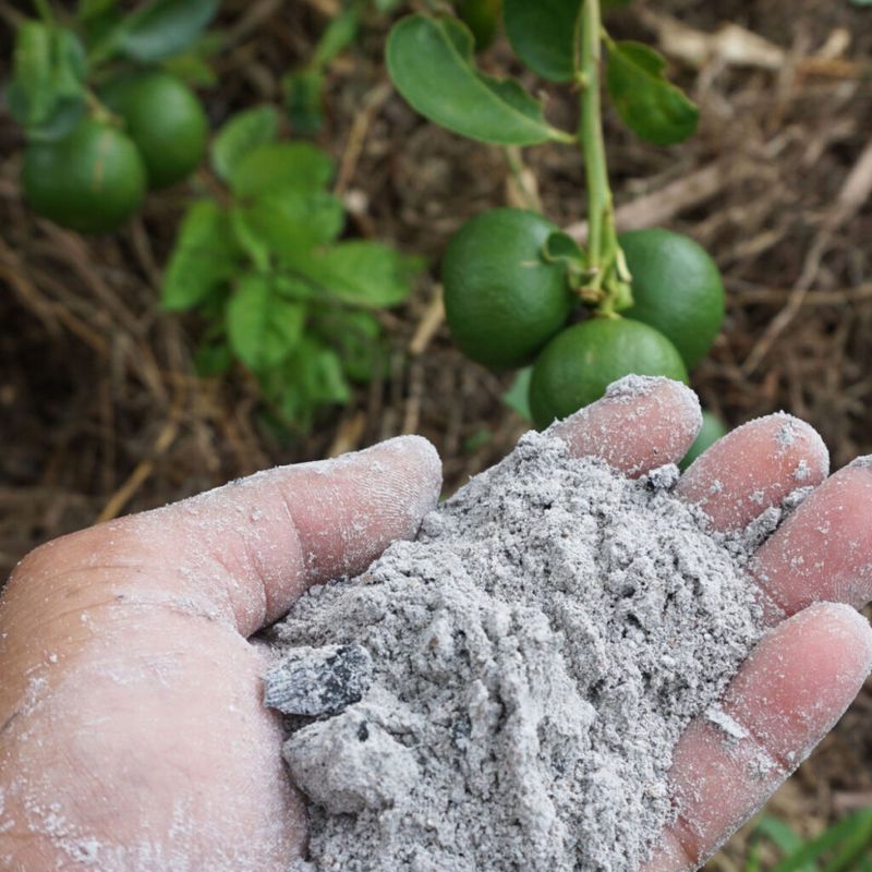 Wood Ash