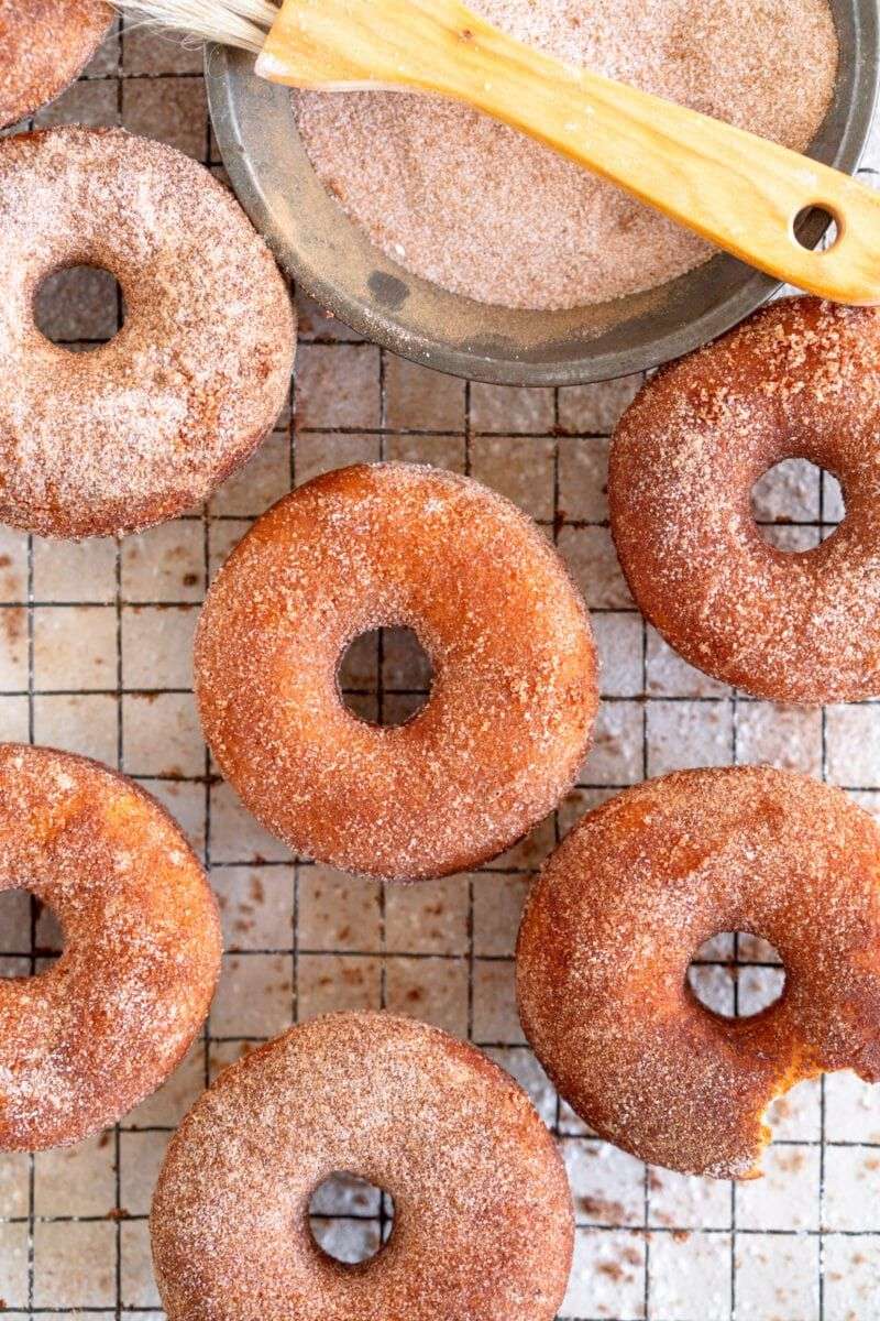 Cinnamon Sugar Doughnut