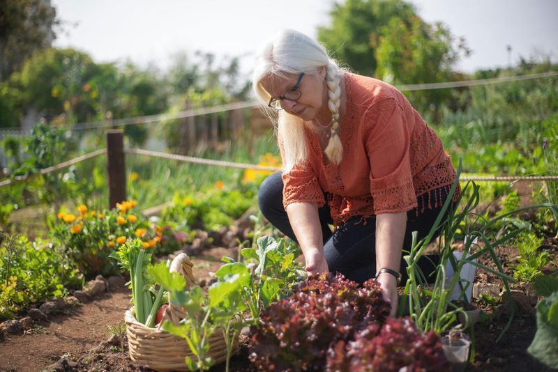 Test Your Soil Before Winter