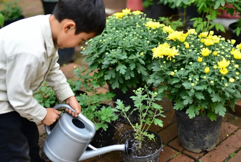 Keep the shallow root ball from drying out