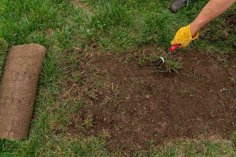 Prepare the soil before you reseed
