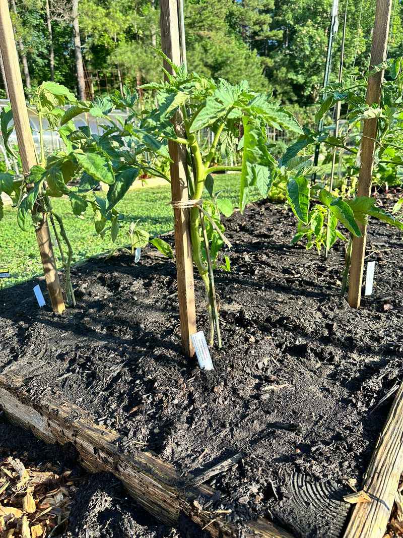 Treat the tree as a lead, then choose your next step