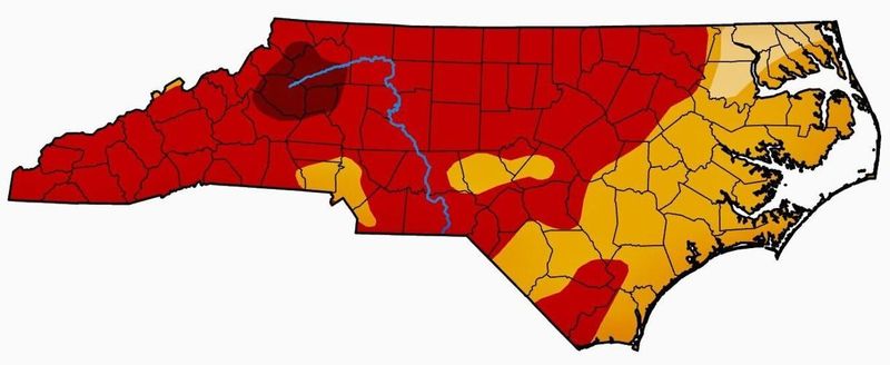 Recent rain brought relief, but conditions still vary across North Carolina