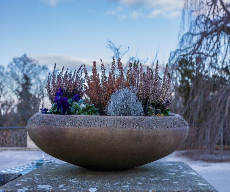 Pick Pot Materials That Handle Frost