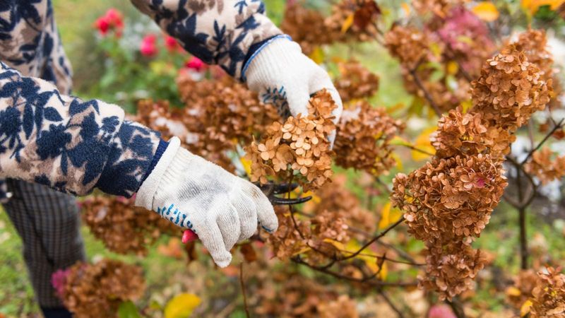 Pruning at the Wrong Time
