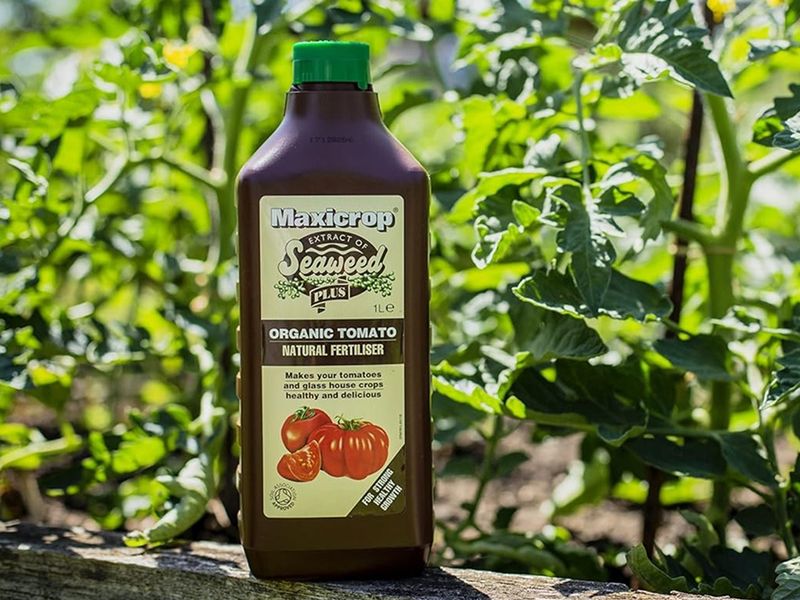 Seaweed Extract