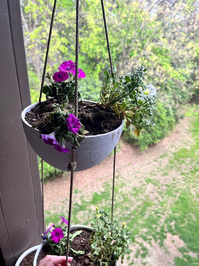 Test the Soil Before You Water