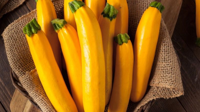 Notice Intensified Color for Yellow Varieties