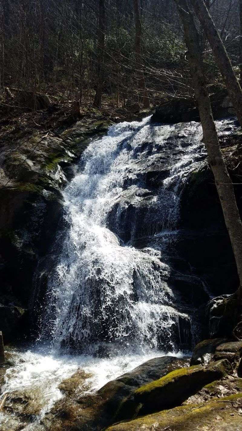 How White Rock Falls Compares to Other Virginia Waterfalls