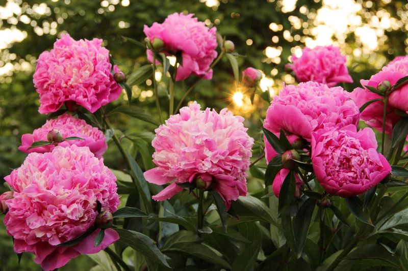 Assess and Improve Sunlight Exposure