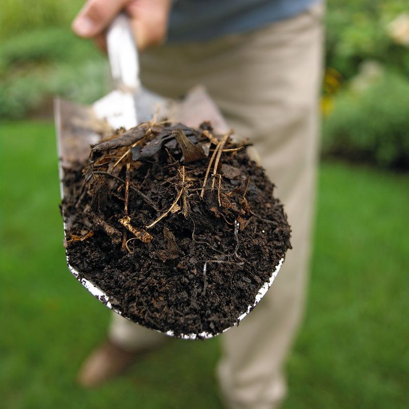 Improve clay without destroying its structure