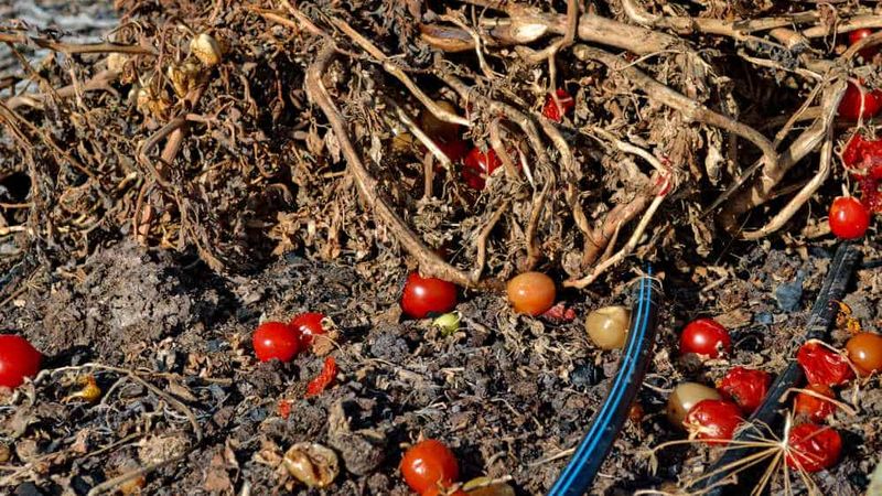 What fall cleanup can—and cannot—do
