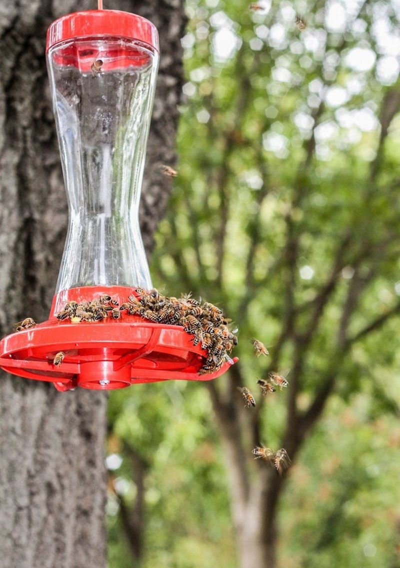Next To A Wasp Or Bee Nest