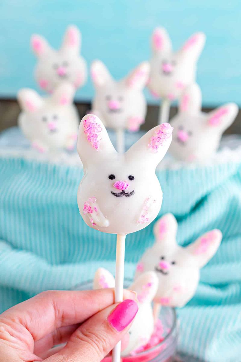 Bunny Cake Pops