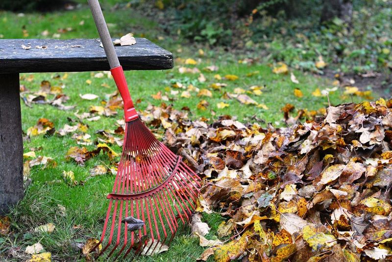 Clear the high-use strip without stripping the whole yard