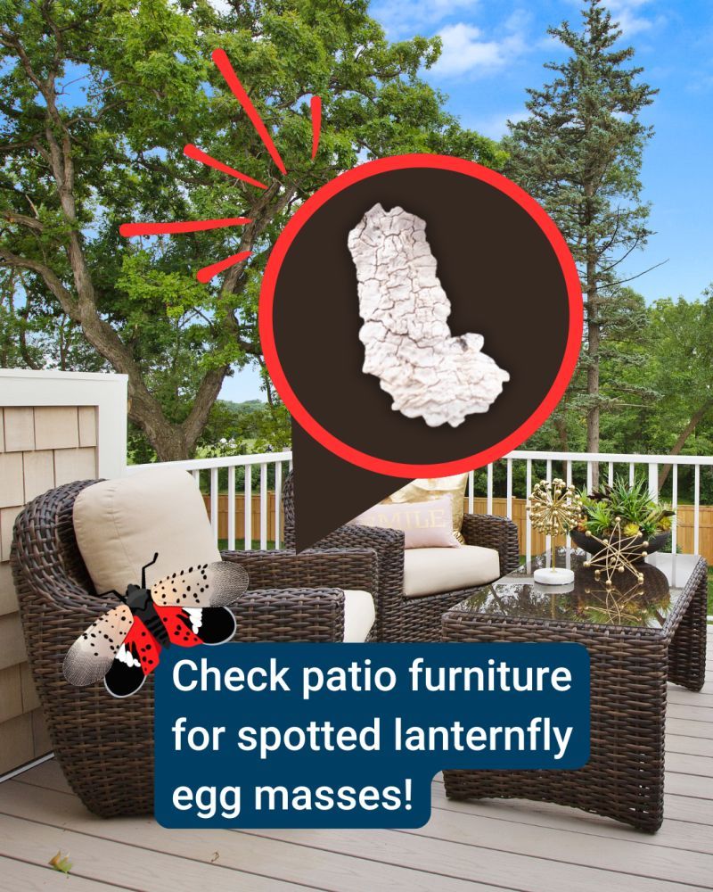 Patio Furniture