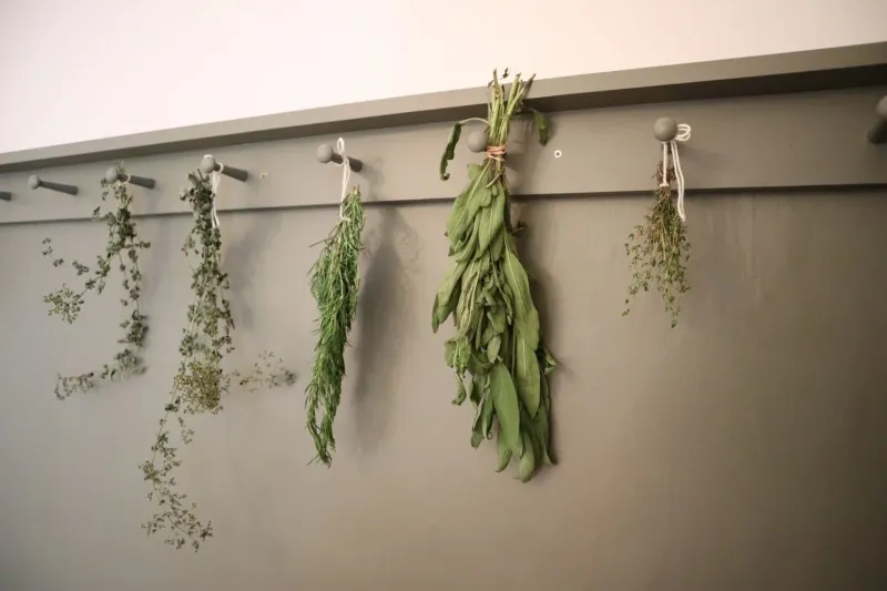 Air-dry sage in small bundles with plenty of circulation