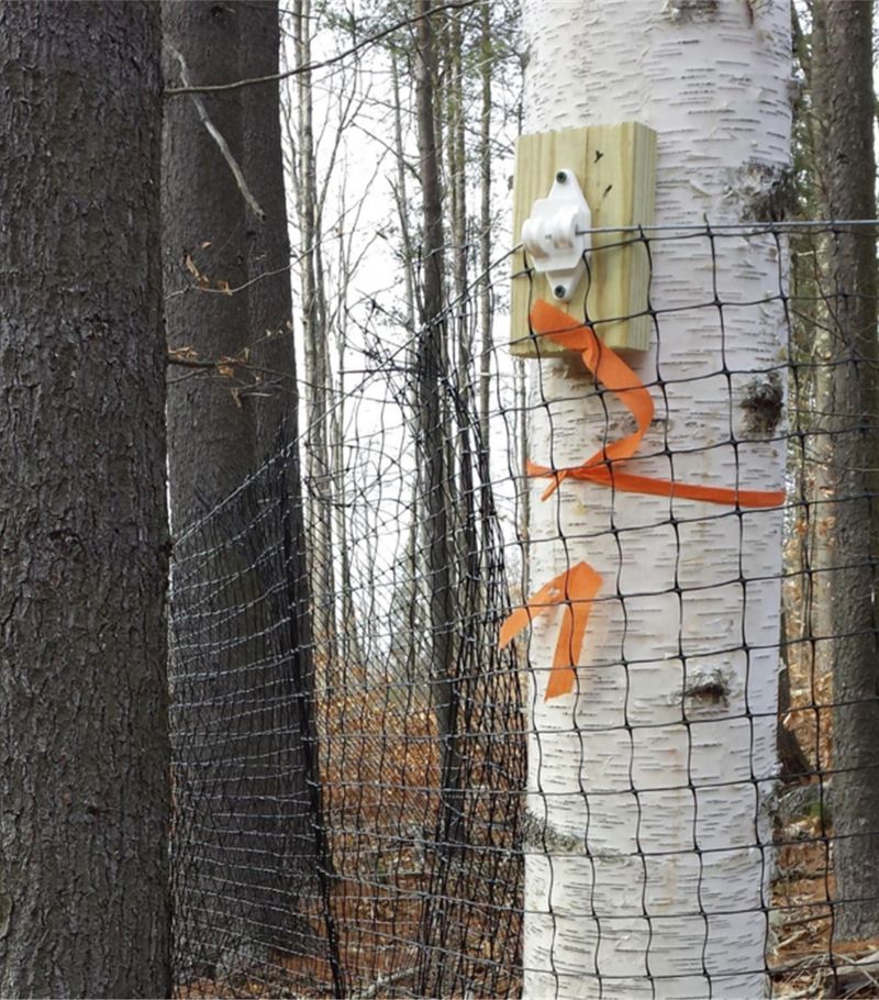 Judge Success by Reduced Damage, Not Deer Absence