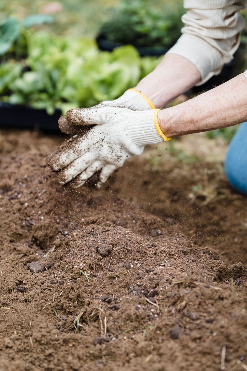 Check Soil pH Levels