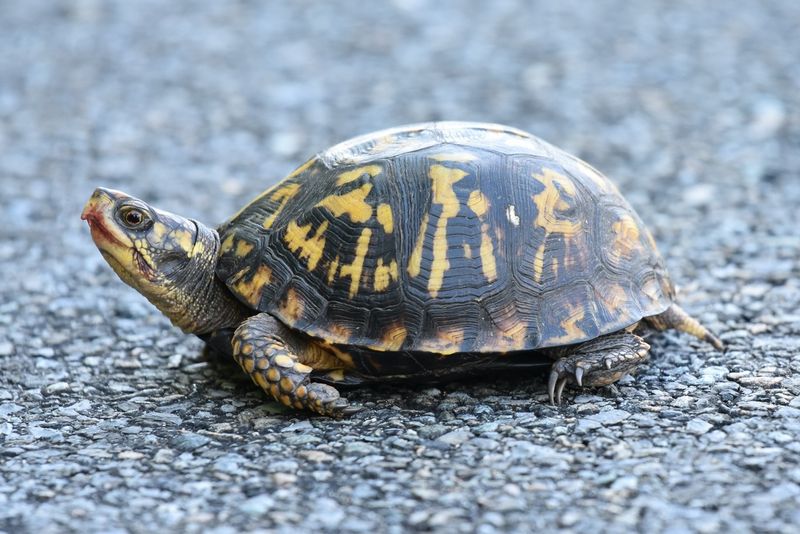 Leave the visitor alone and make the route safer