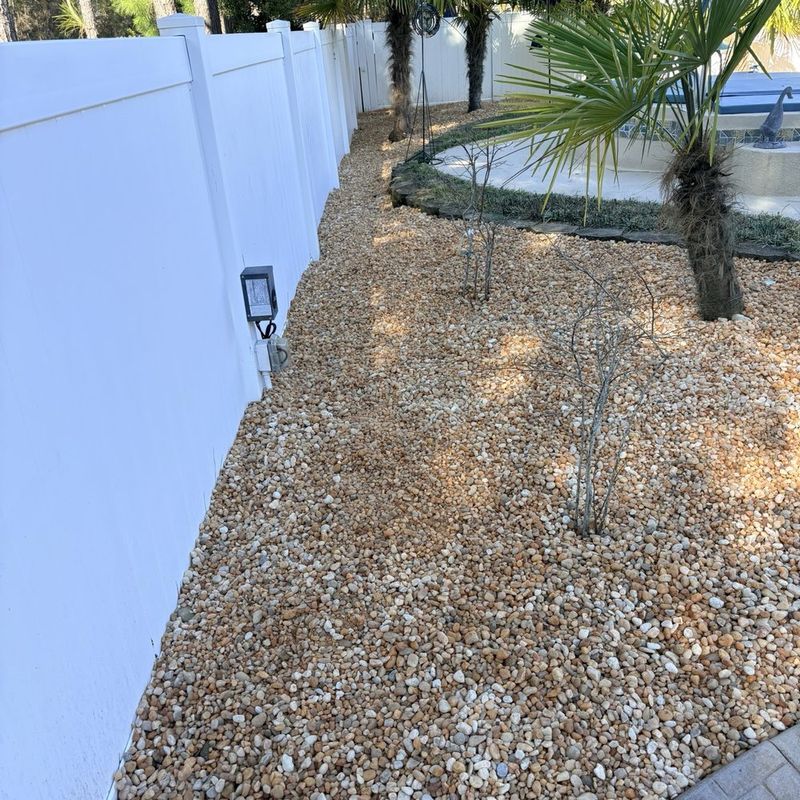 A cautious placement plan: keep beautyberry away from the maintained activity zone