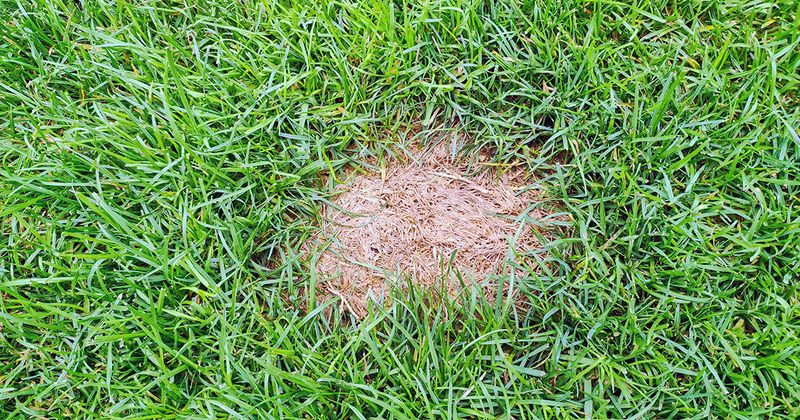 Choose the fix only after checking the conditions