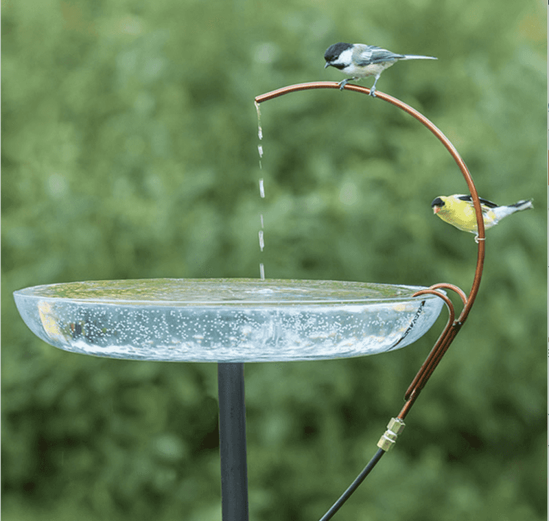 Lack of a Water Source