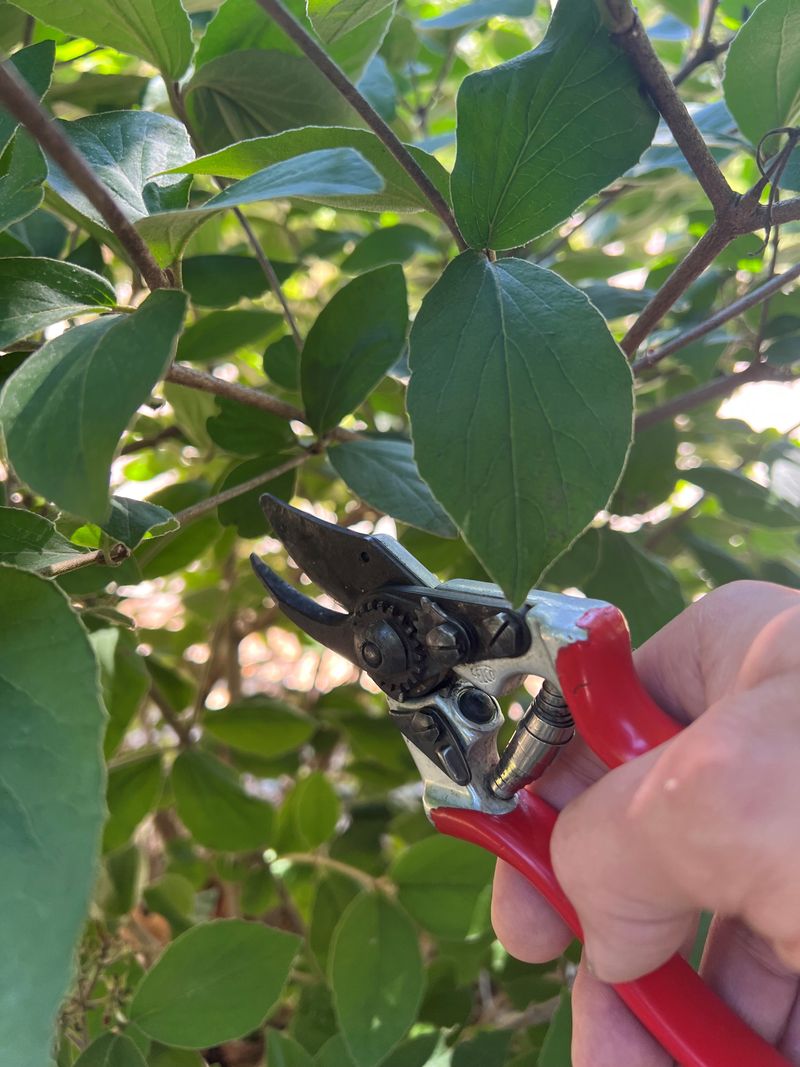Spreading Disease With Dirty Tools