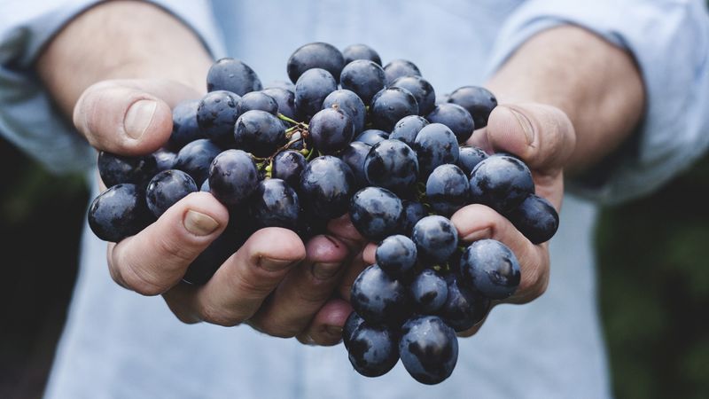 Grapes