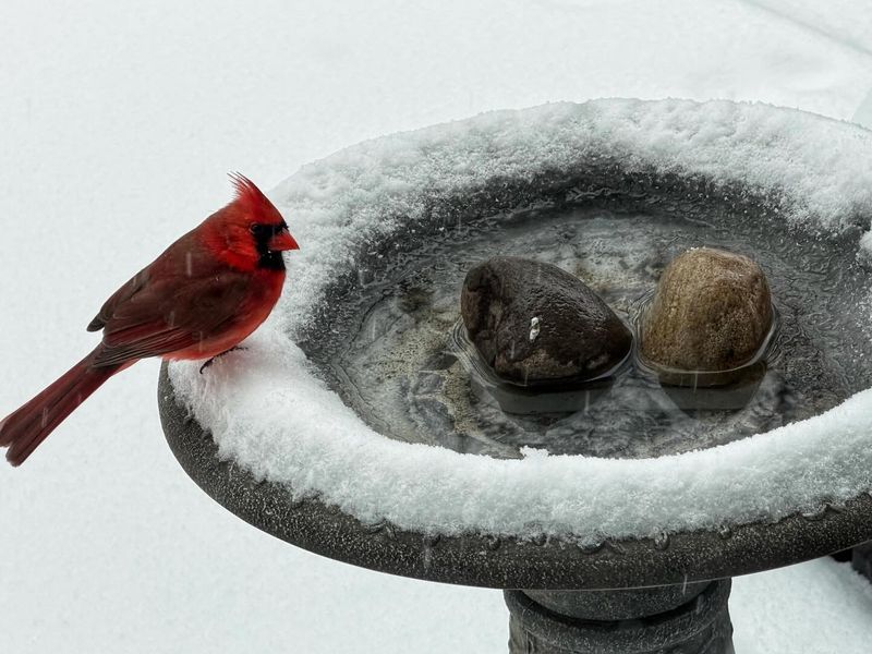 Ensure a Year-Round Water Source