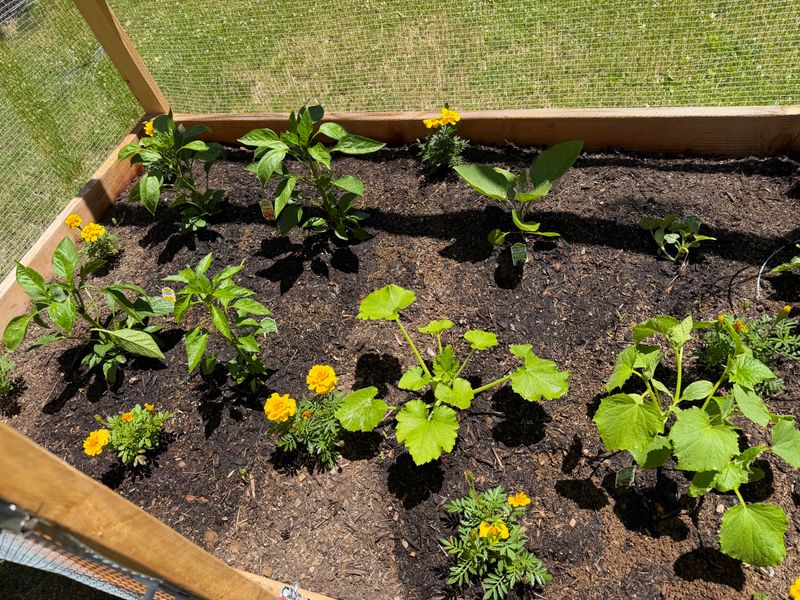 Mulch and Compost That Fights Weeds