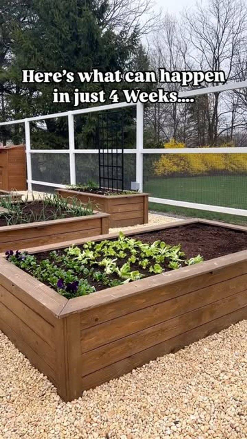 Help seedlings establish through late-summer heat