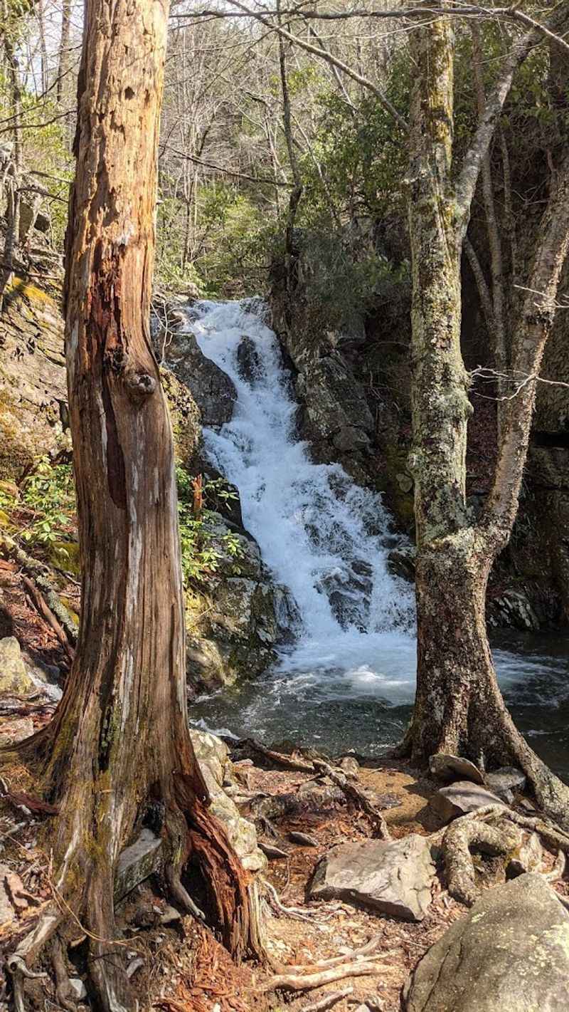 Wildlife and Nature Encounters Along the Way