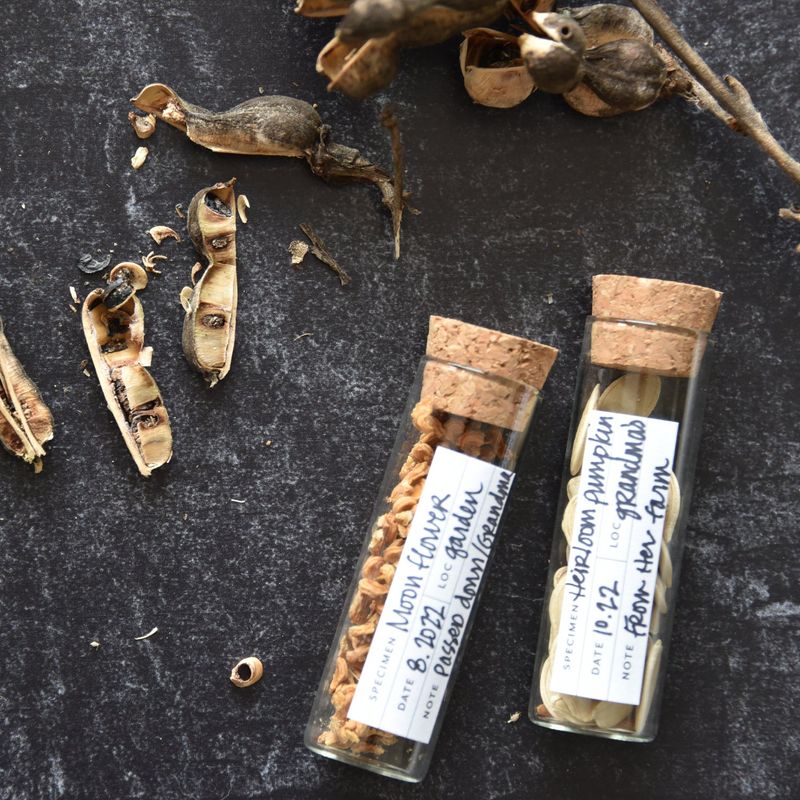 Dry, Label, and Store the Seed
