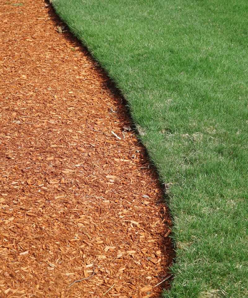 Build a maintained edge that may reduce exposure