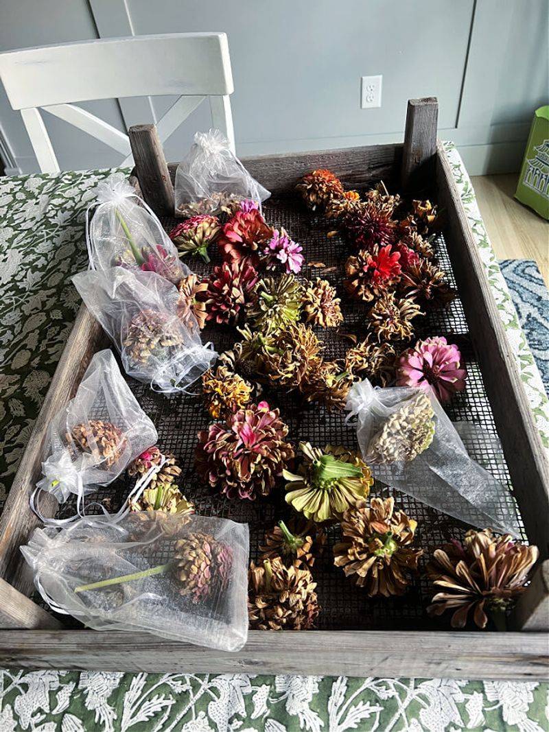 Further Dry the Harvested Flower Heads