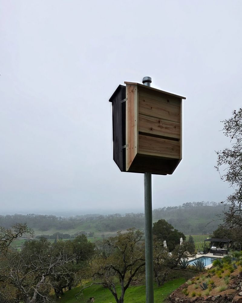 Site the house for bat access and North Carolina heat