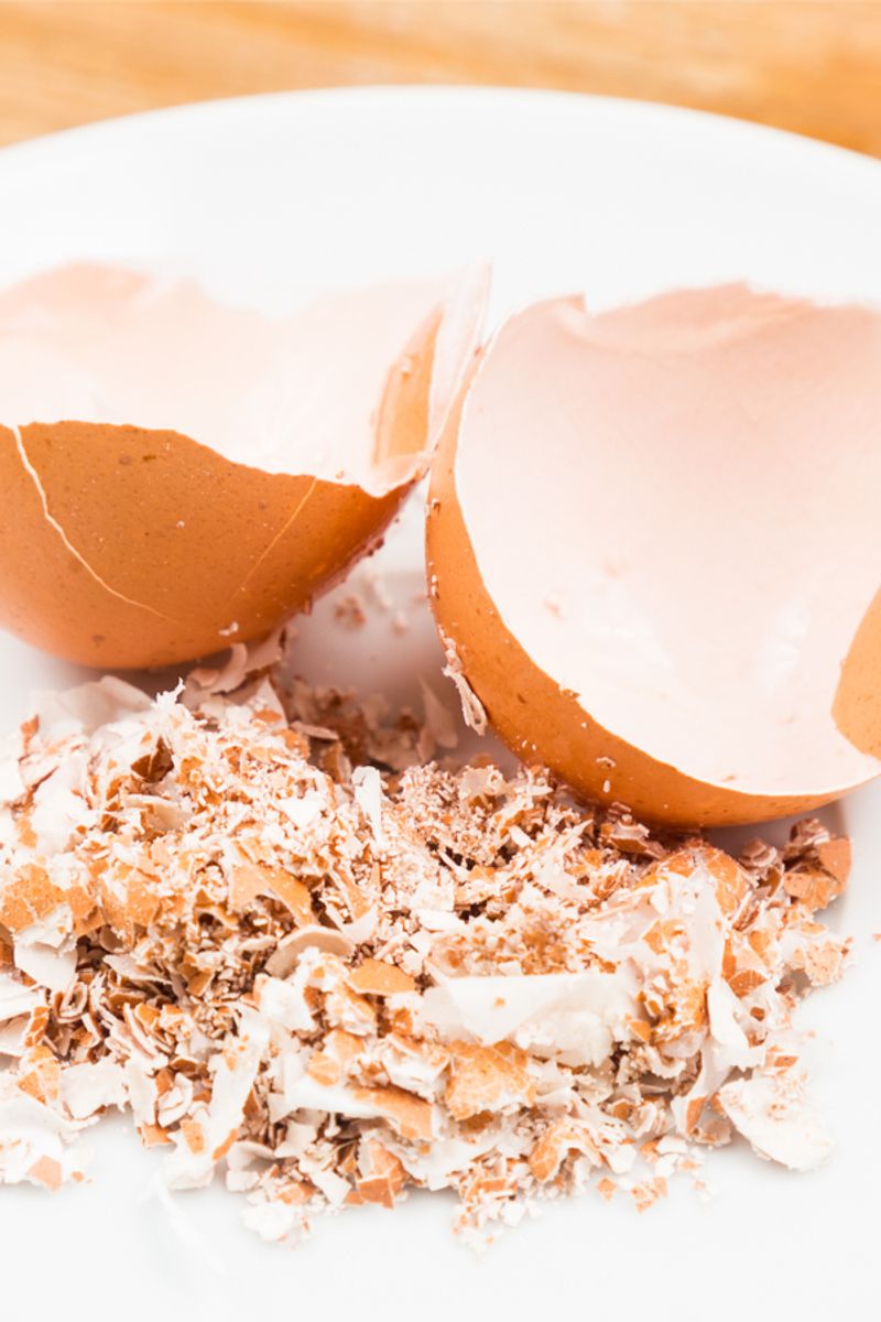 Crushed or Powdered Eggshells