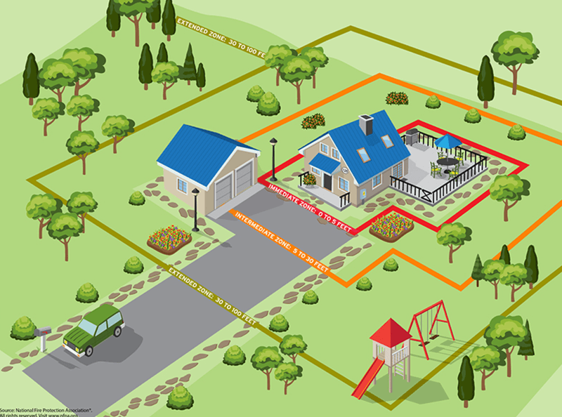 Keep cones out of the home's immediate fire-safety zone